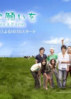 向牛許願/Love & Farm