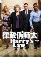 律政俏師太第一季/鞋店事務所第一季/哈莉與法律第一季 Harry's Law